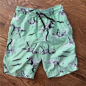 Carters Light Green Dinosaur Swim Trunks